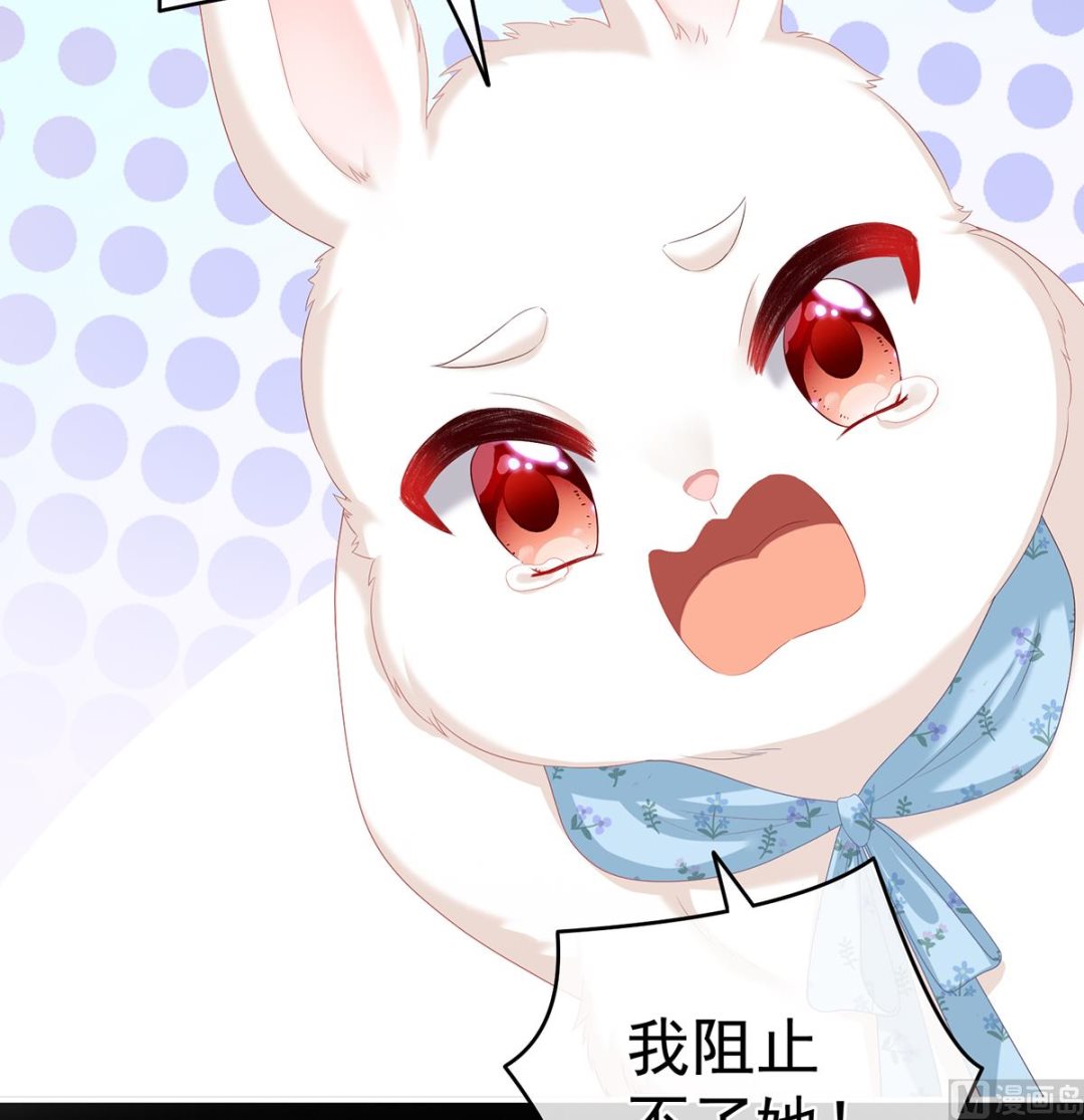 第67话 一夜留情41