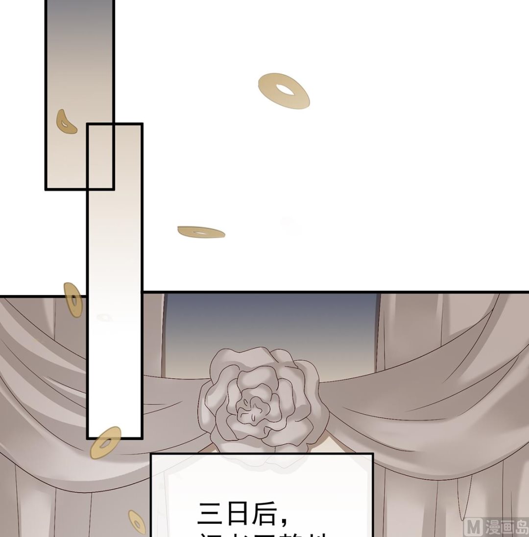 第40话 八抬大轿娶他进门34