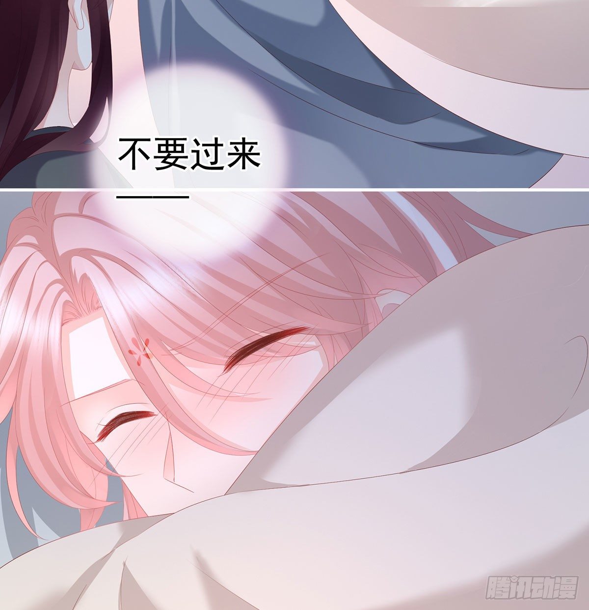 花期51