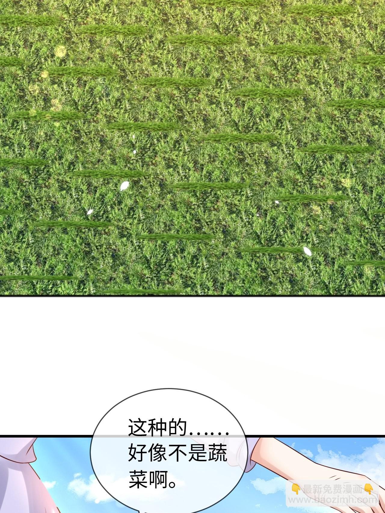 第68话收网之时35