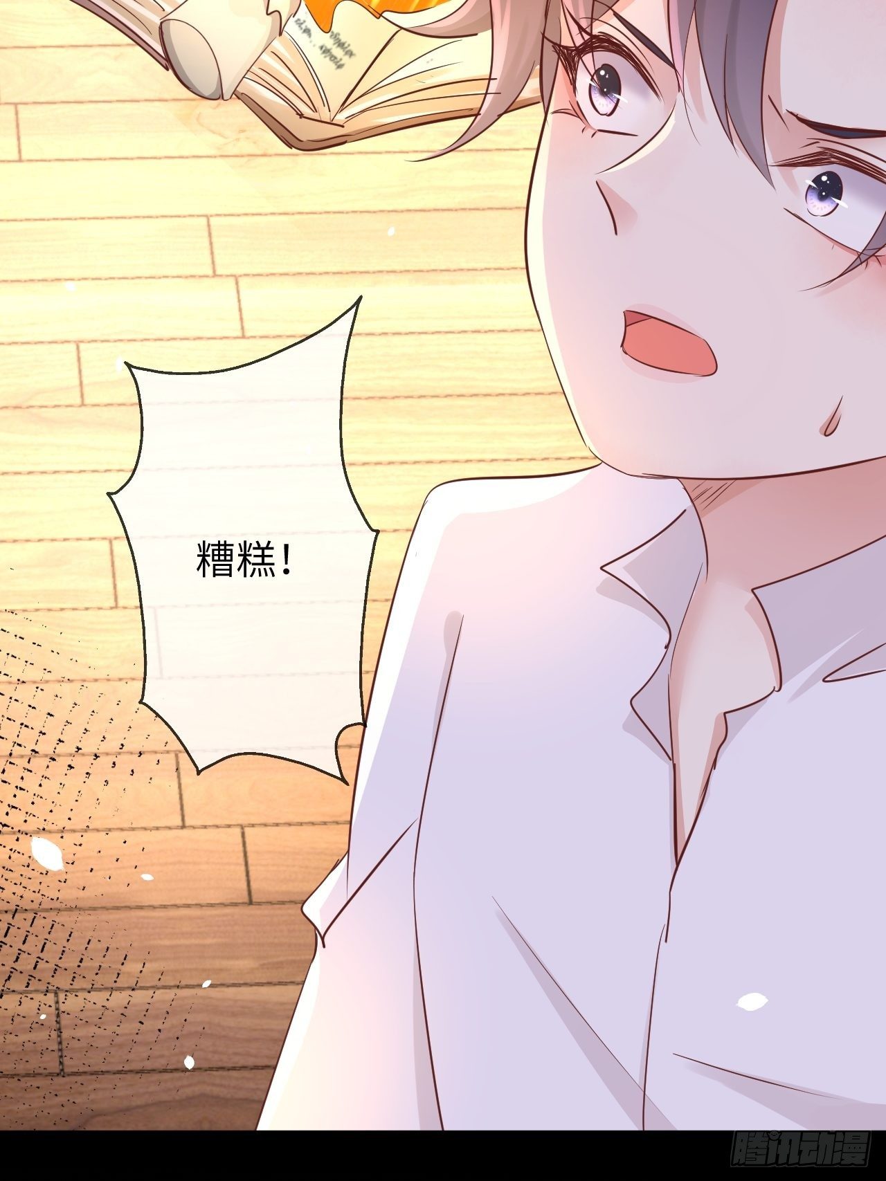 第13话 事实真相30
