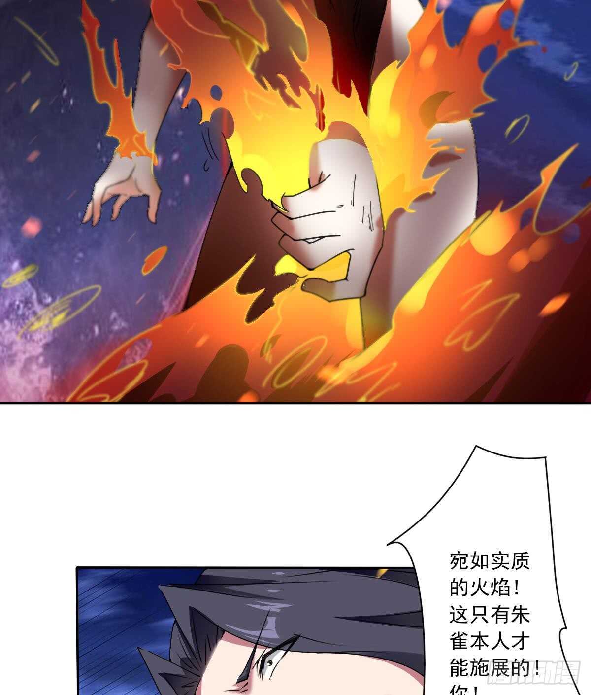 第298话 真正的朱雀神火19
