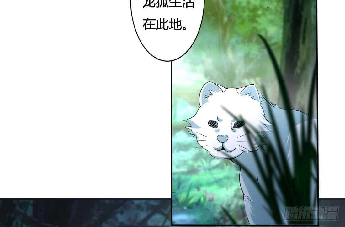 第223话 雪龙狐族27