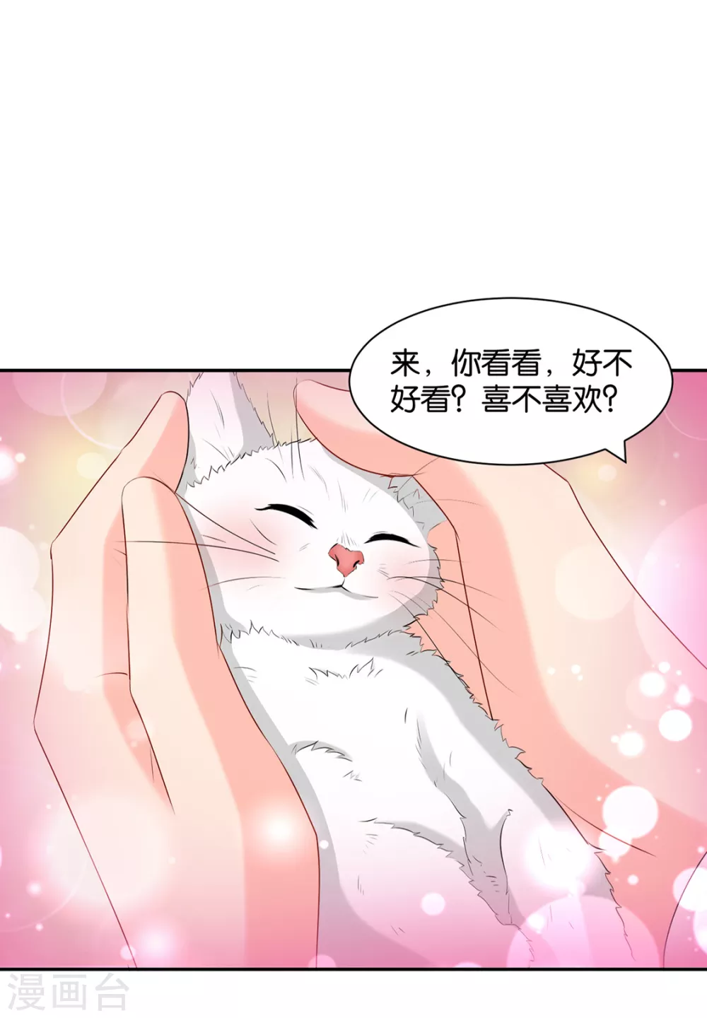 狼群，受伤16