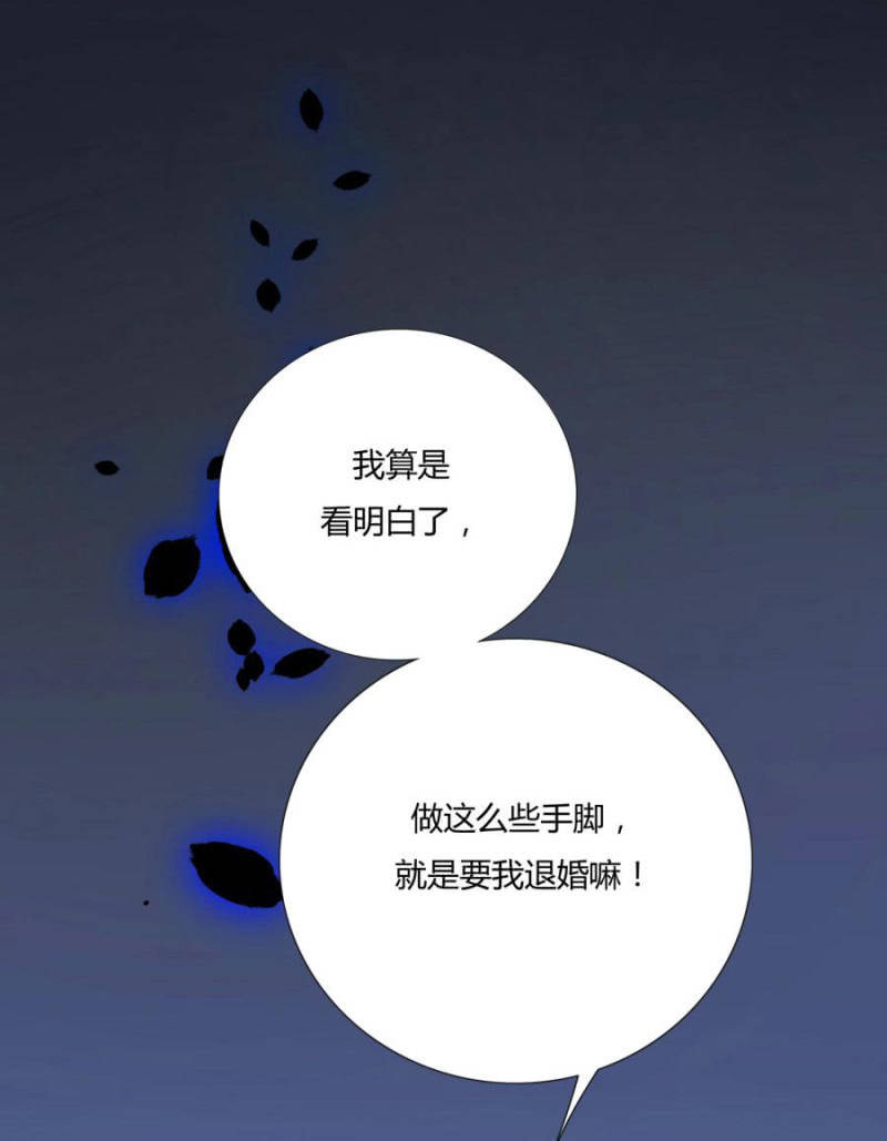 这婚，我退！50