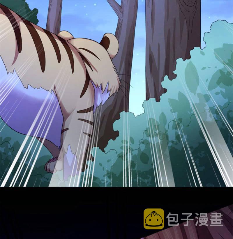 舍命护她41