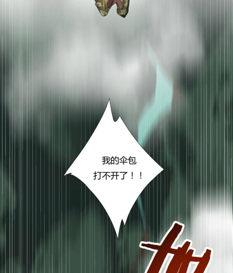 本王要剁了她14