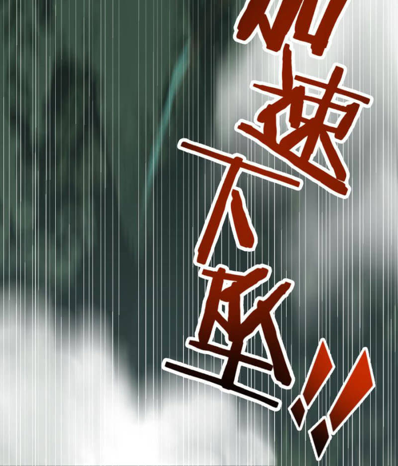 本王要剁了她15