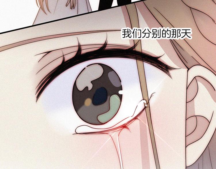 第43话 眼泪41