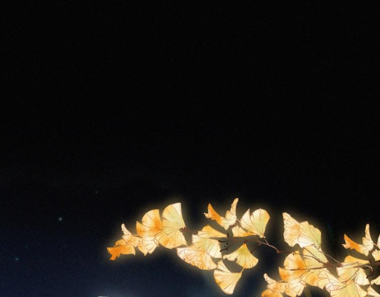 第4话 银河之夜29