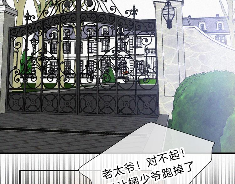第26话 小橘1