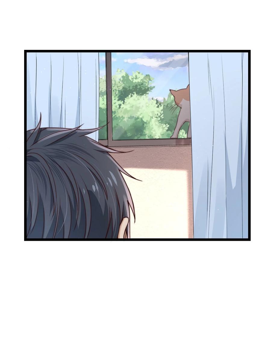 第14话 救猫咪8