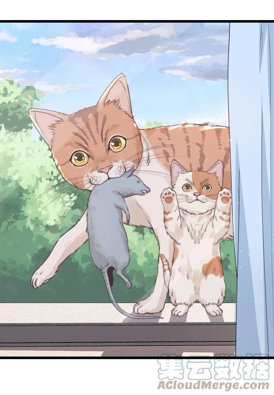 第14话 救猫咪9