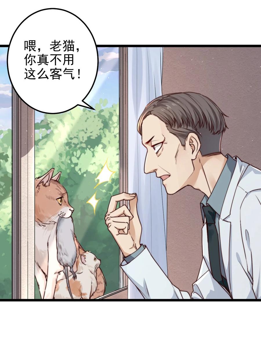 第14话 救猫咪11