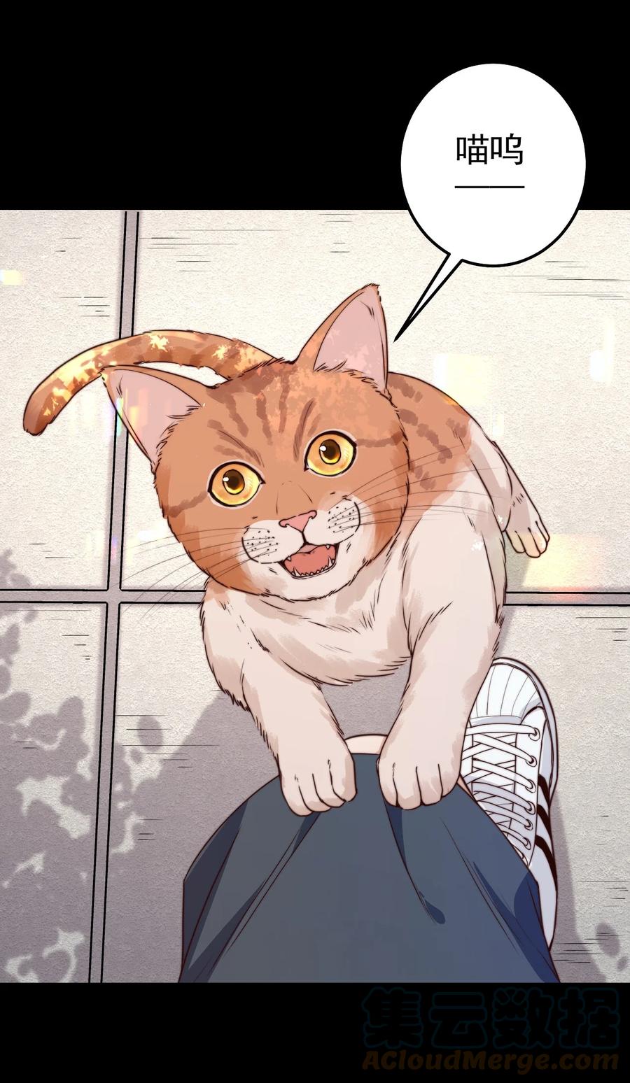 第14话 救猫咪15