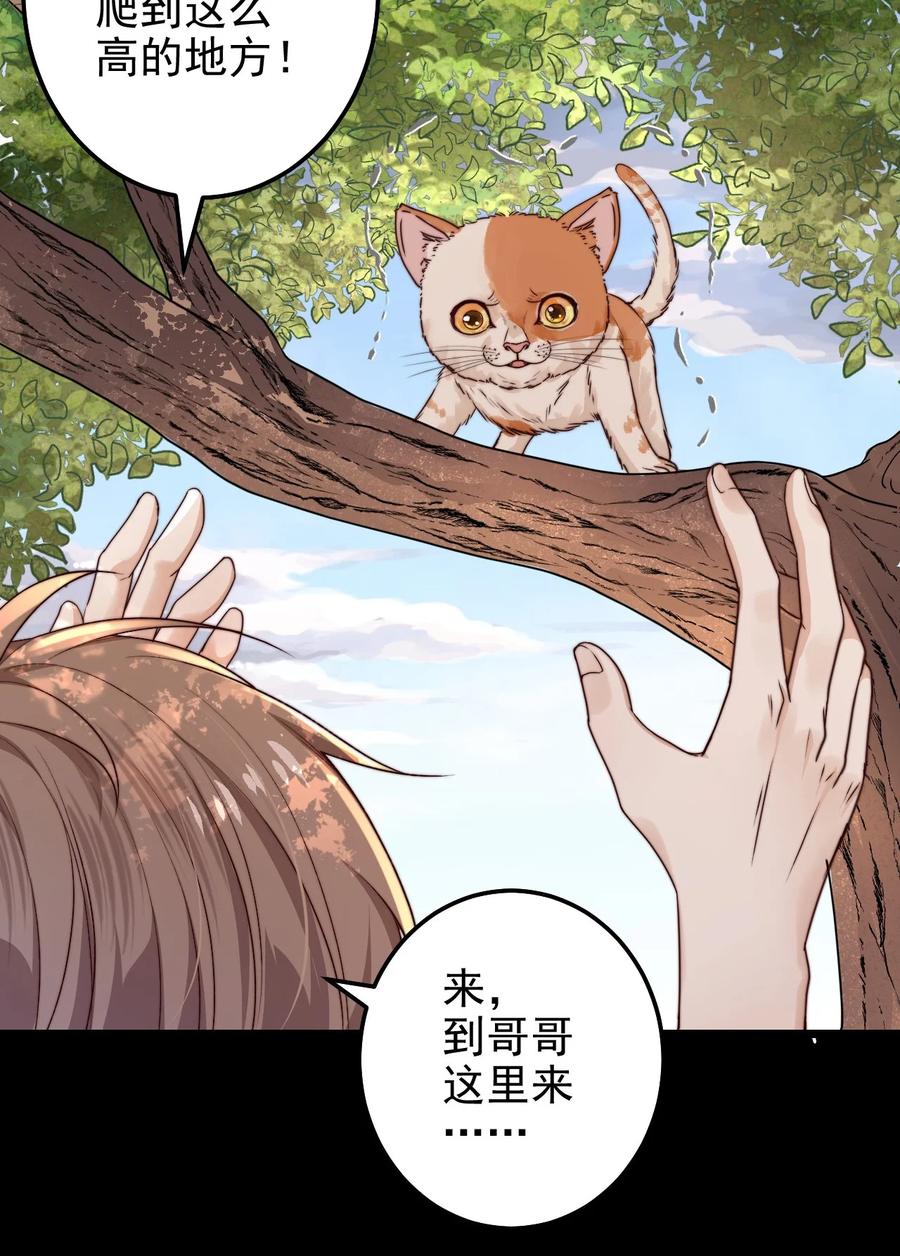 第14话 救猫咪19