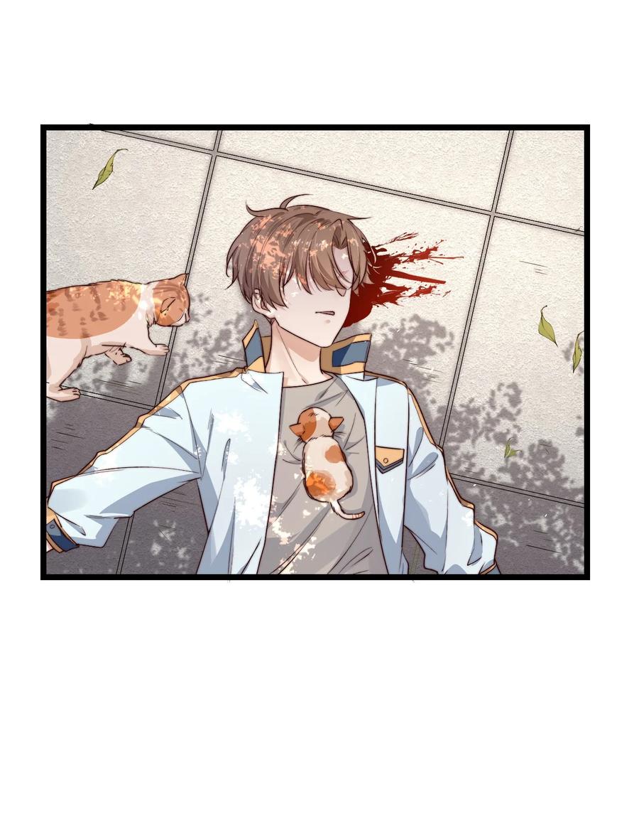 第14话 救猫咪23