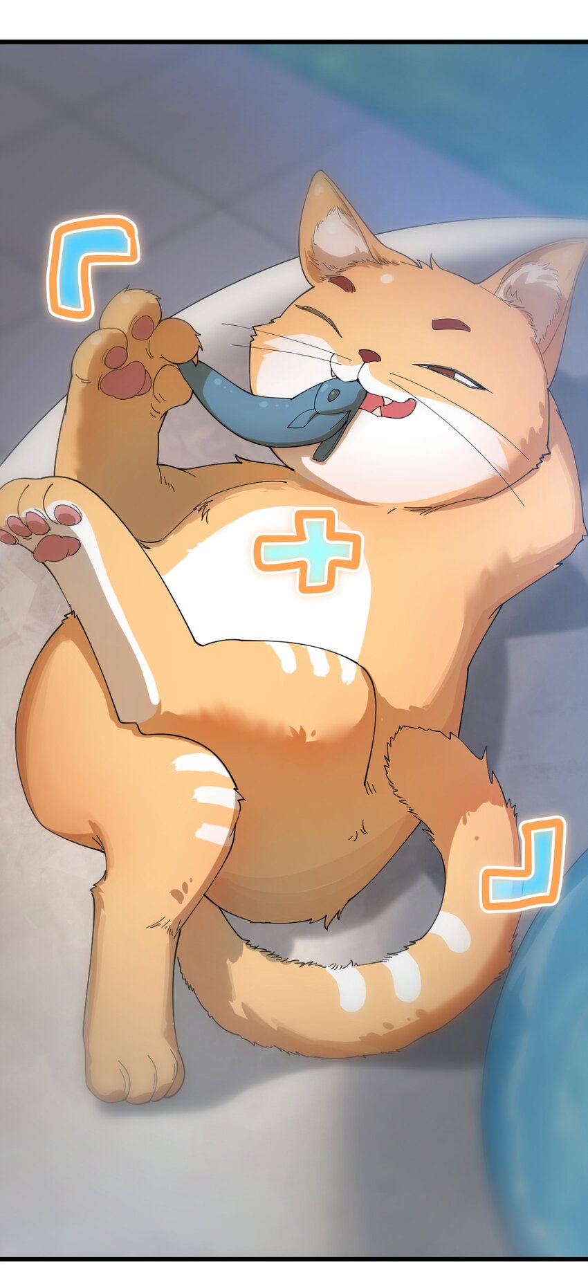 007 这只肥猫到底是怎么回事啊?!11