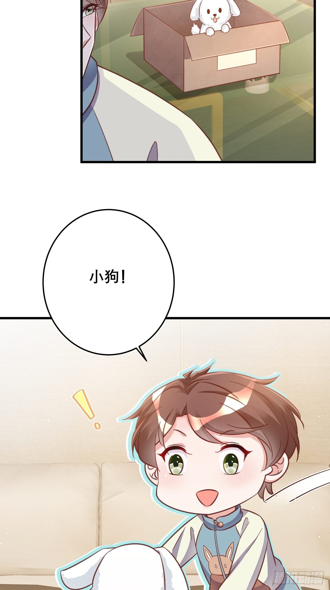 元旦特辑 新成员的到来27