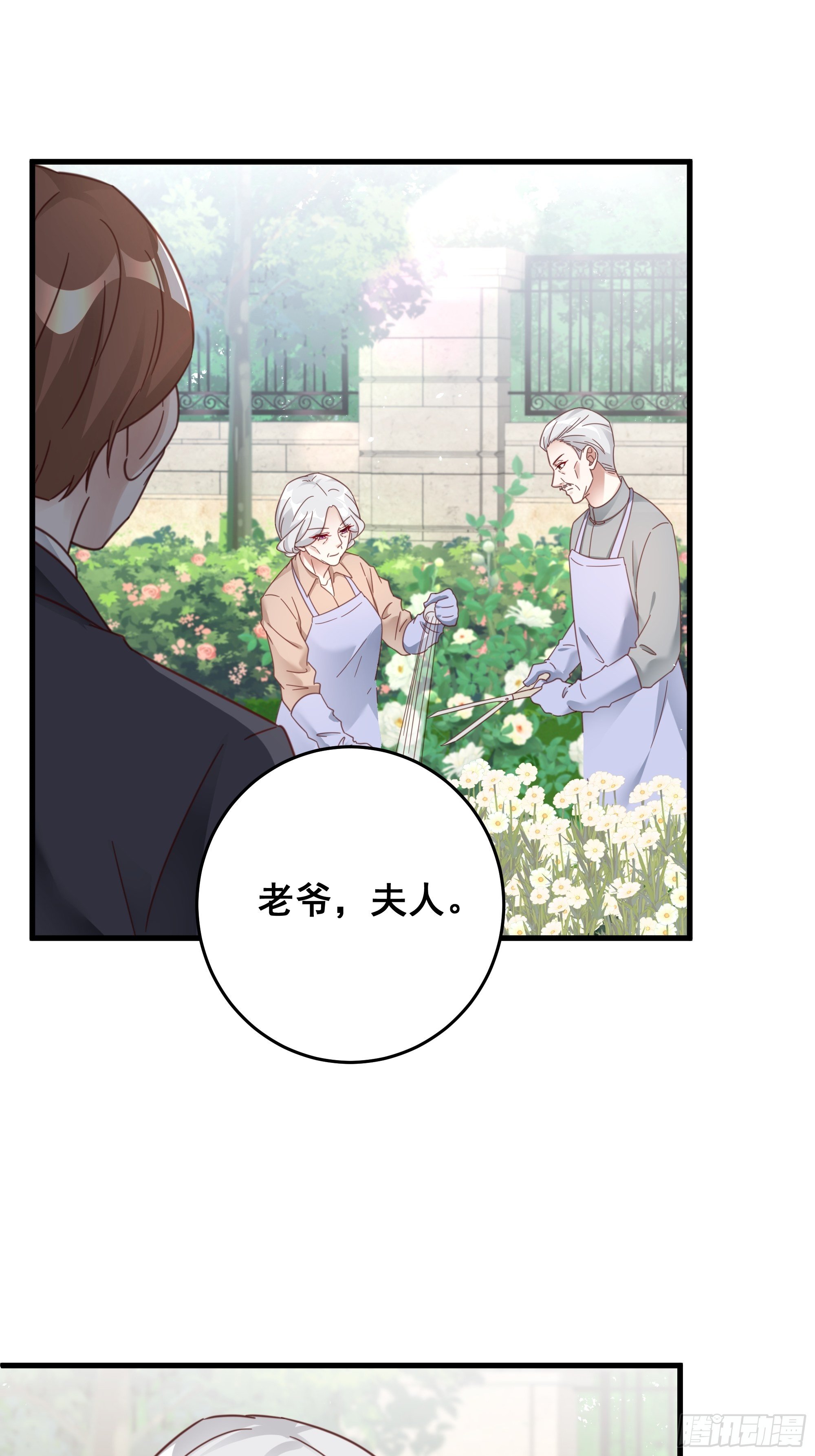050 打入内部36