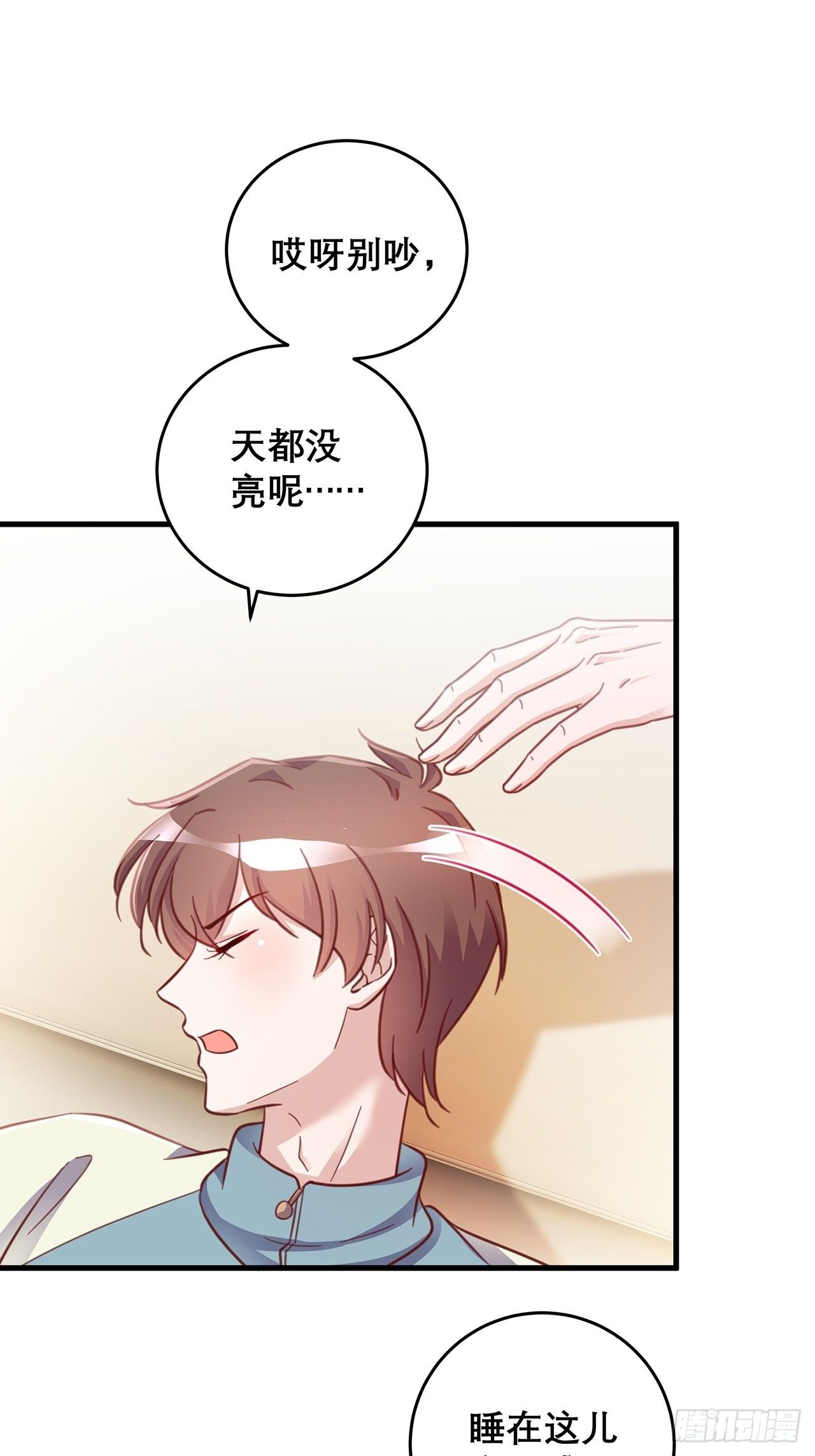 元旦特辑 新成员的到来19