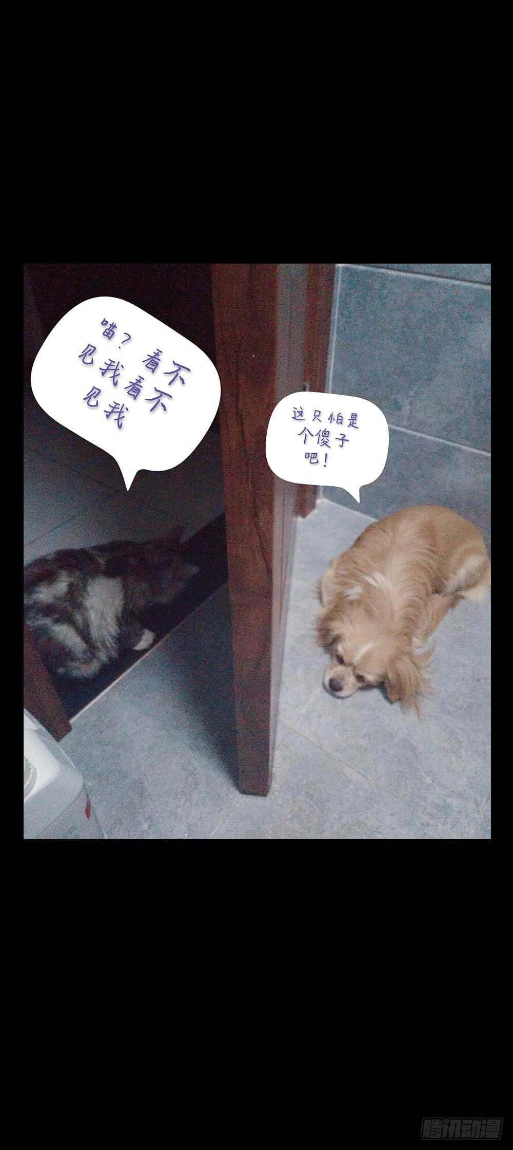 第63话：姐夫？31