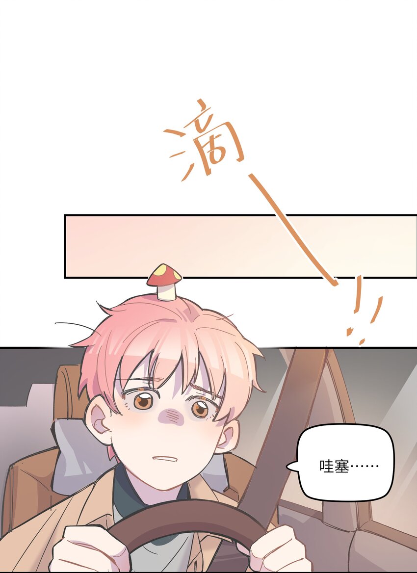 003 我又来了36
