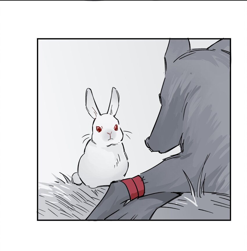 032 狼与兔29