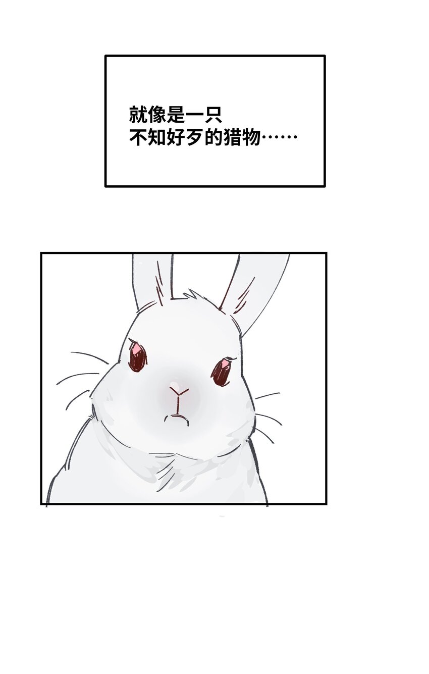 032 狼与兔31