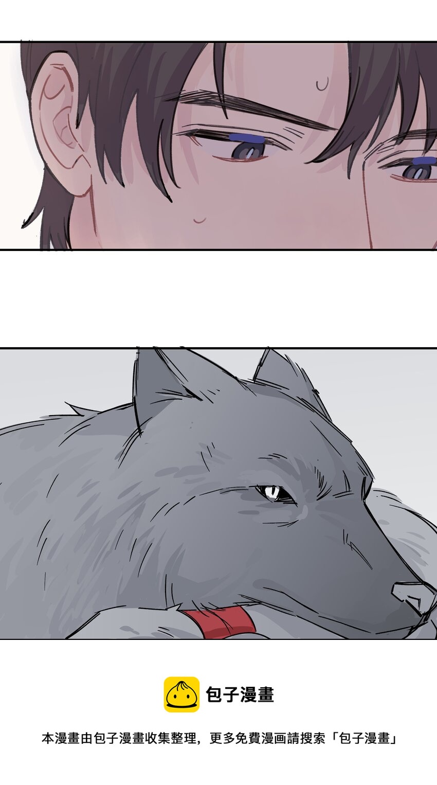 032 狼与兔28