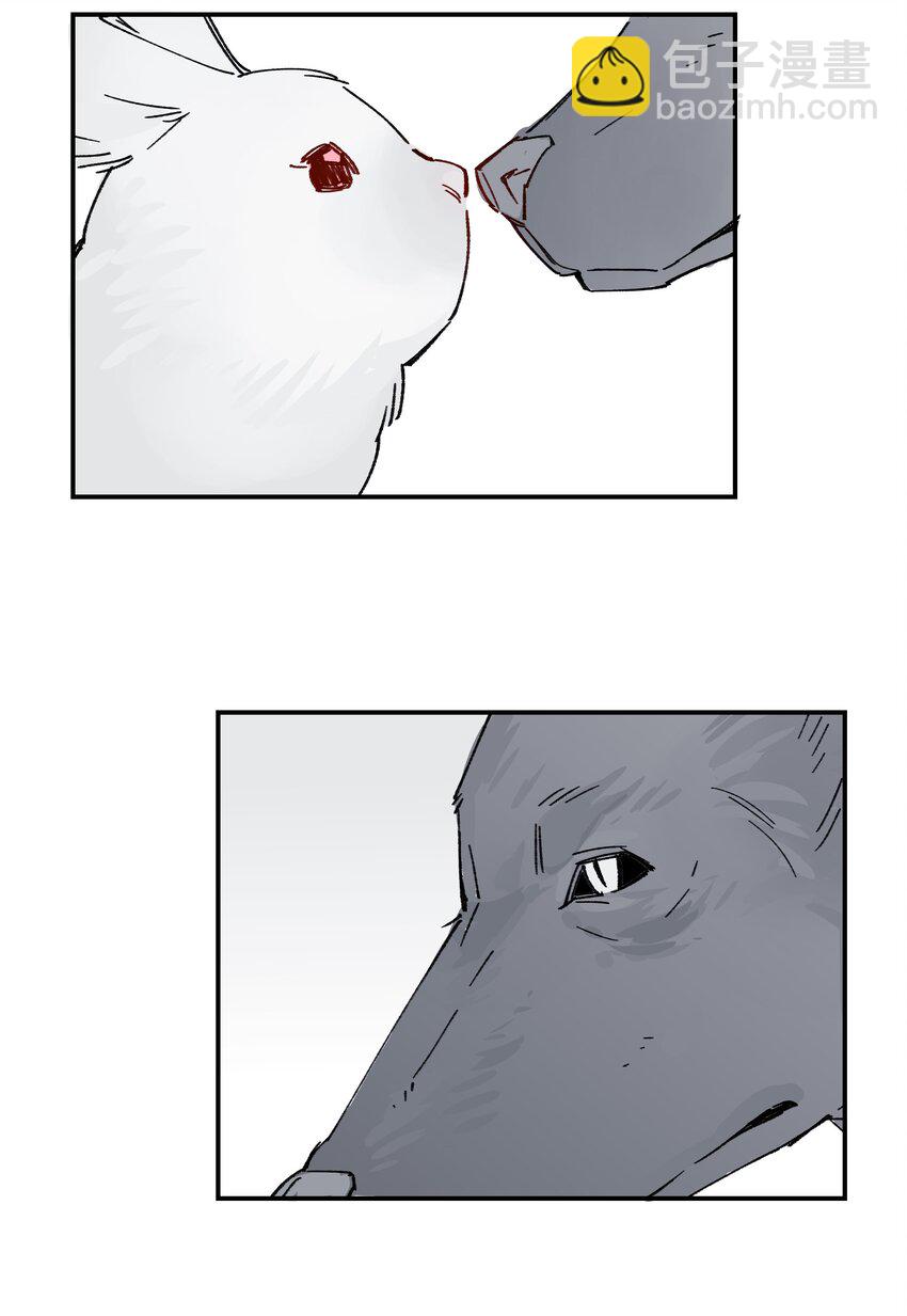 032 狼与兔30