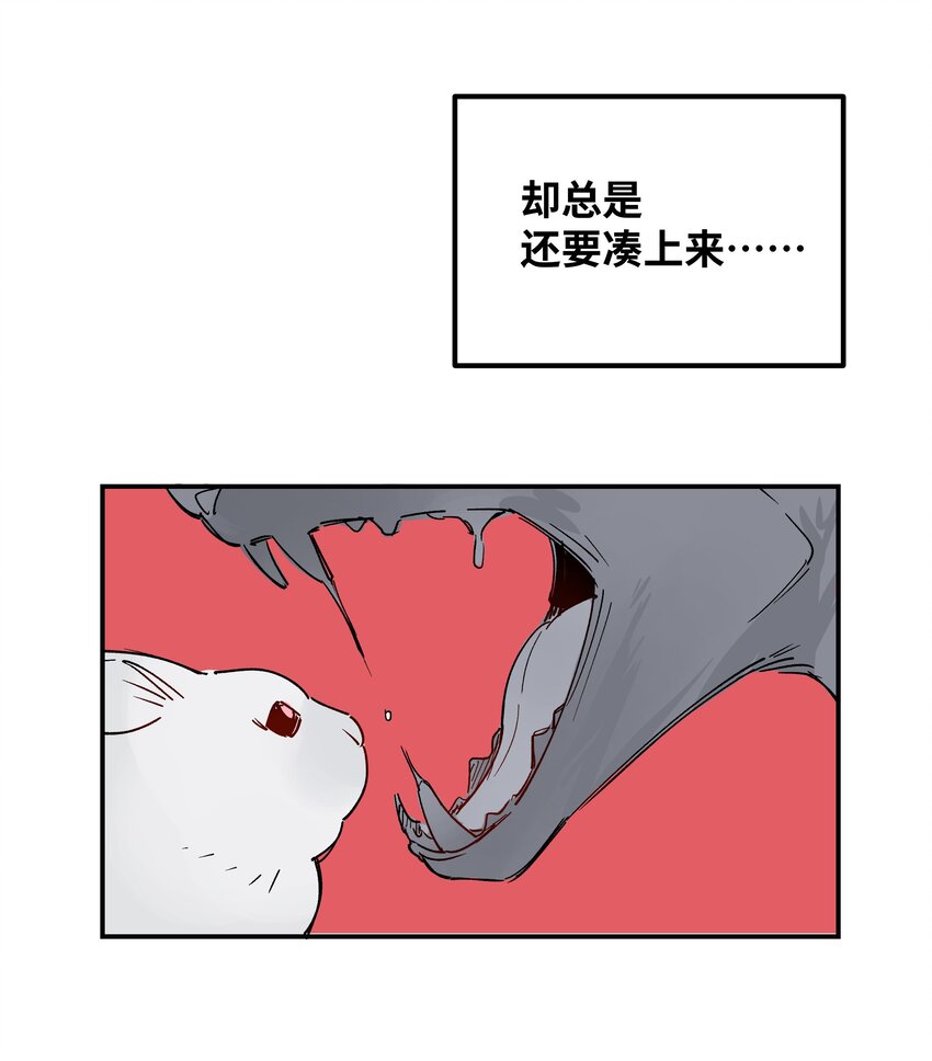 032 狼与兔33