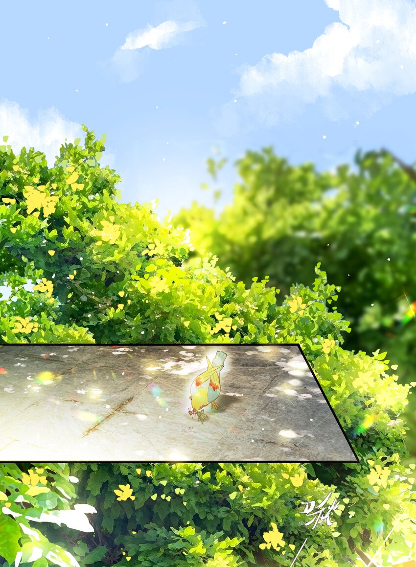 43 爱子心无尽2