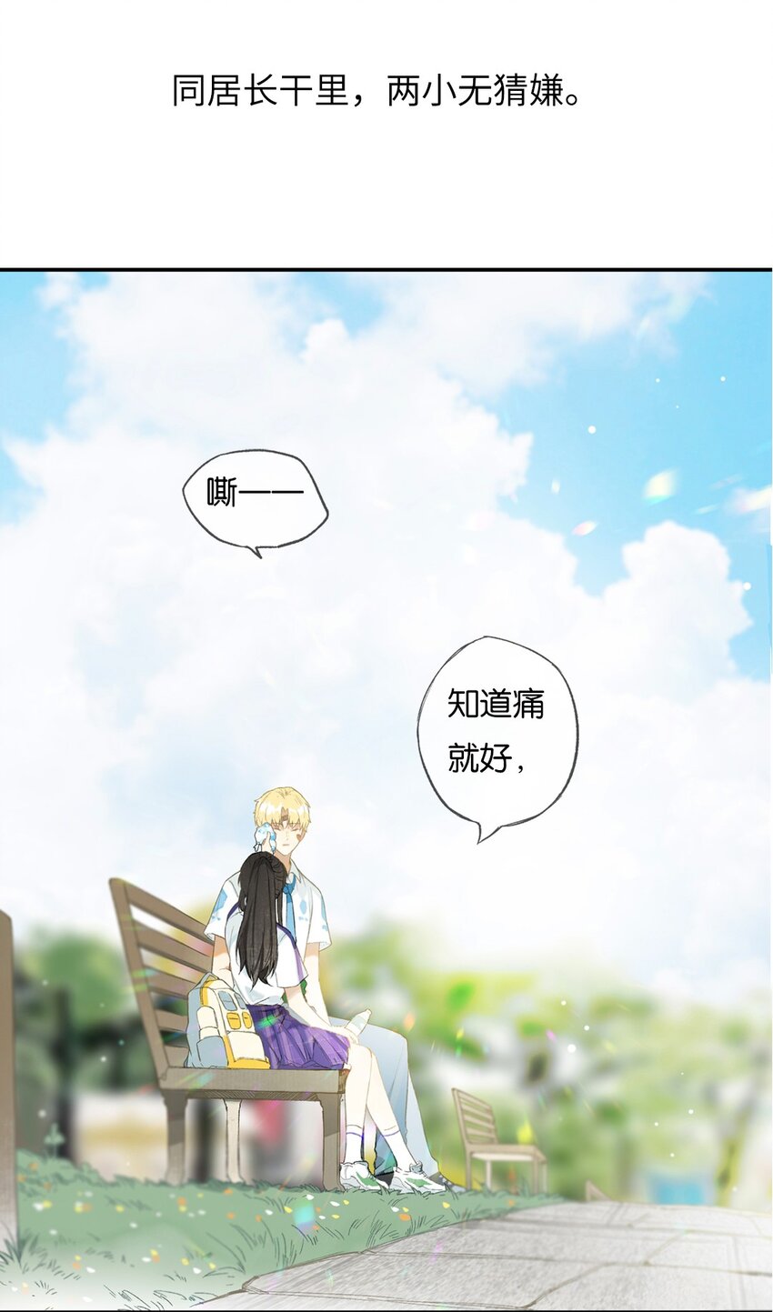 特别企划 榴花不及春一周年特别企划3