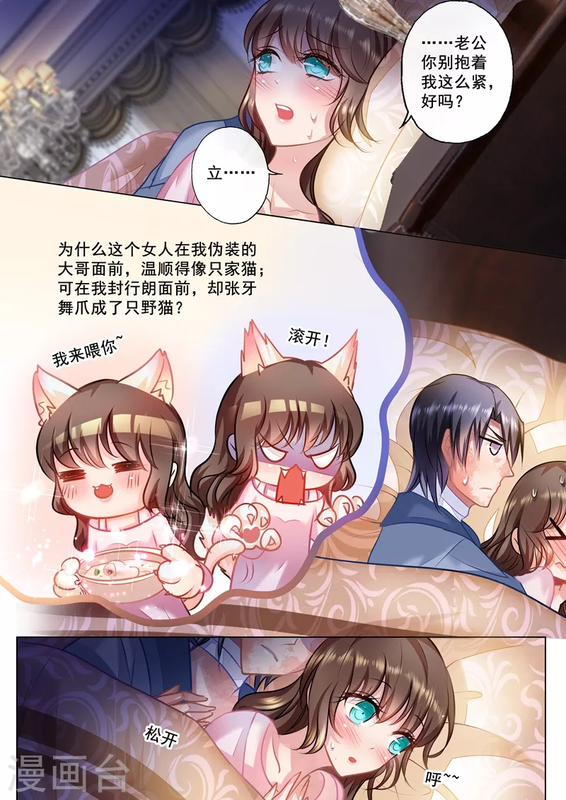 第27话 温顺家猫VS爆娇野猫4