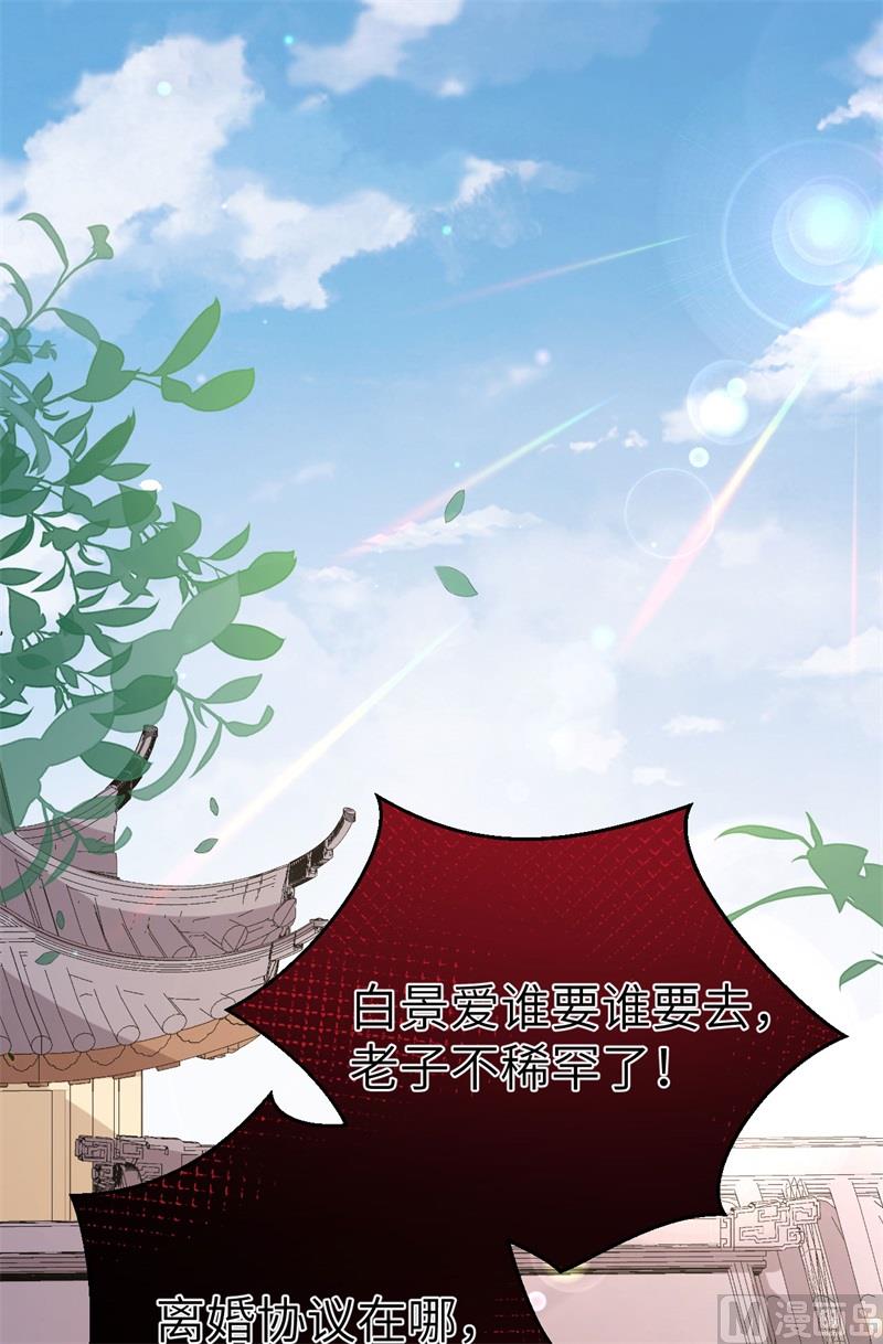 113真正的魅力3