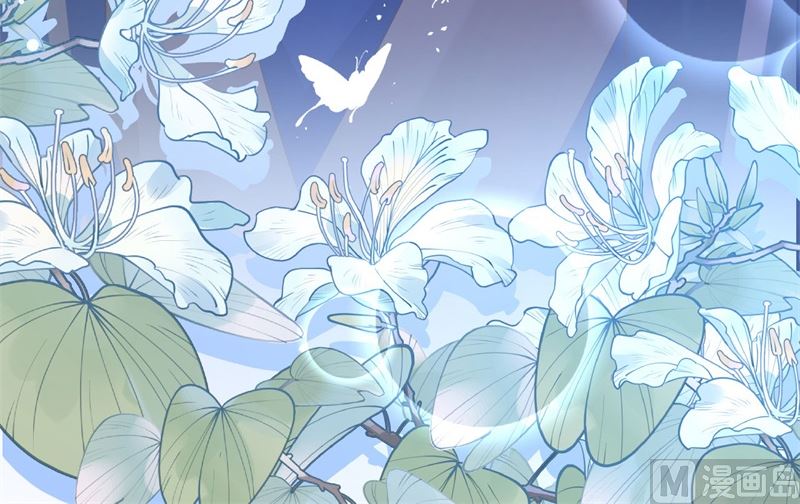 114早知今日，何必当初73