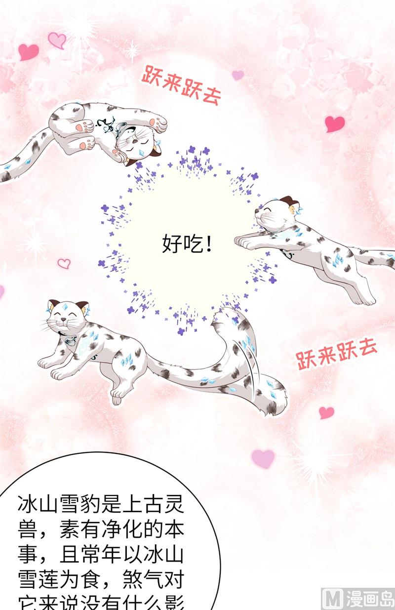 095 婚礼之约5