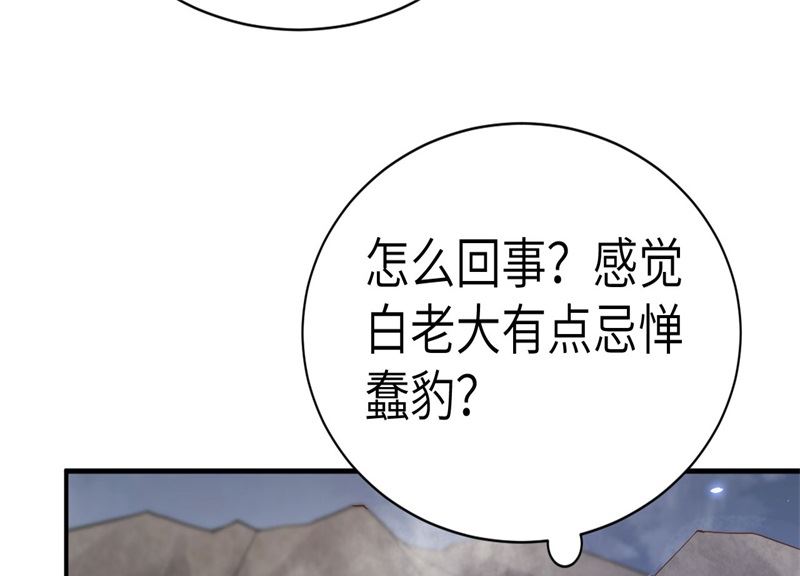 088 傲娇的“白景”63