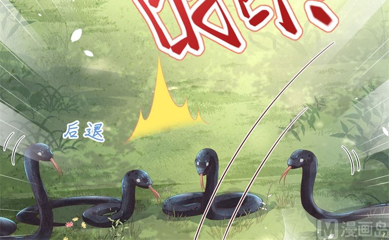 075 老婆的话必须得听85