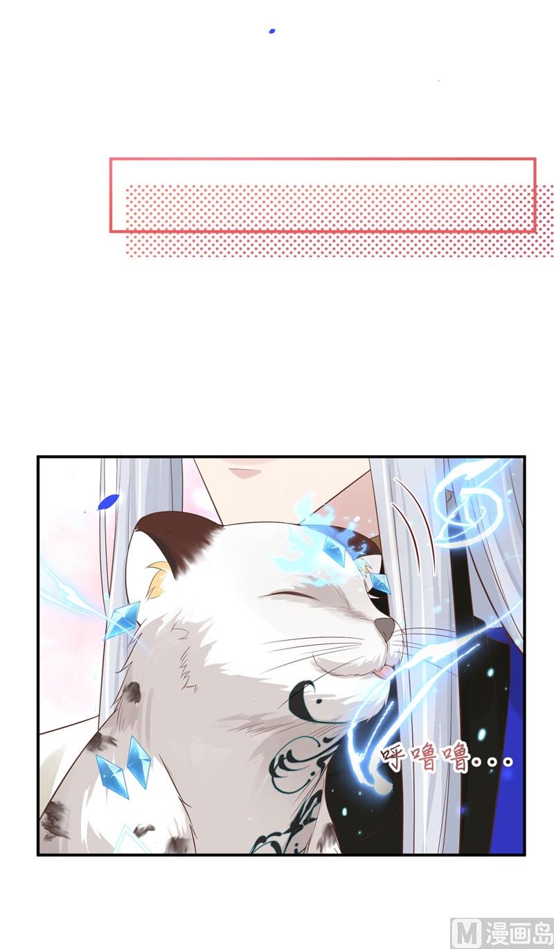 078 白老大放狠话39