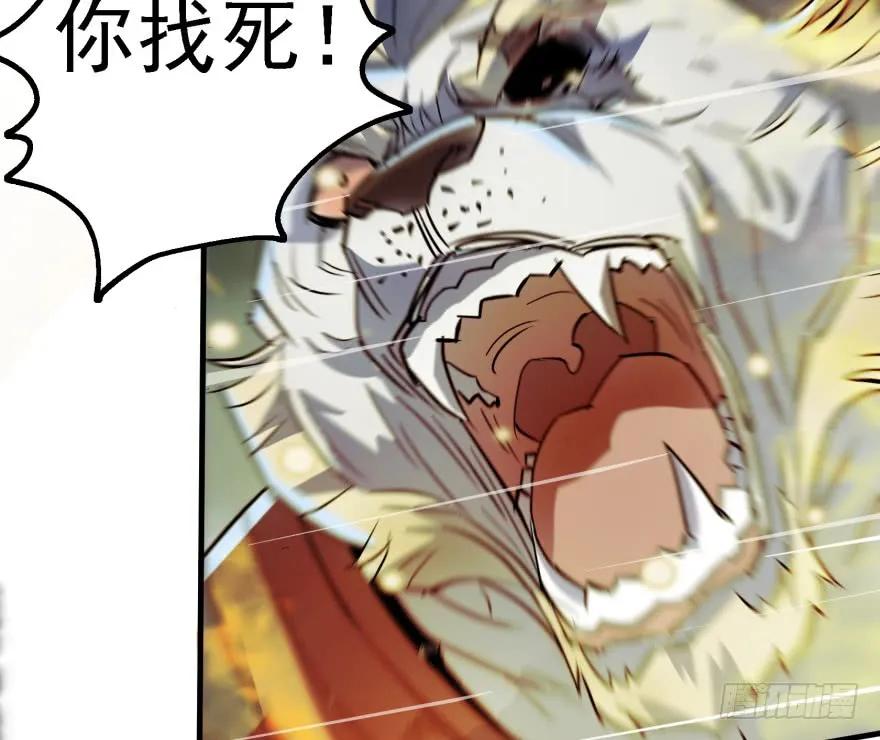 142争斗升级46