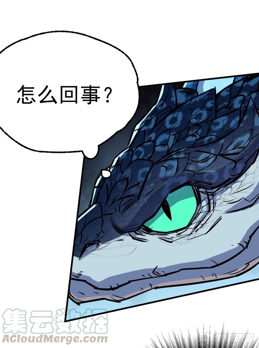 195美味熊掌4