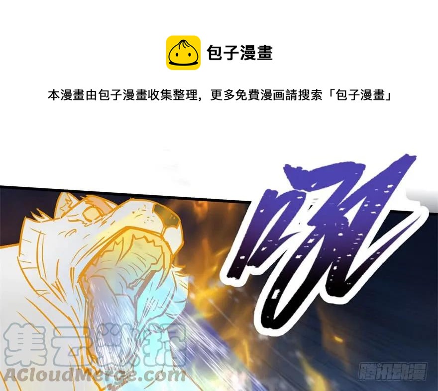 146虎煞125
