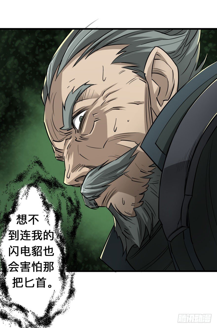 007闪电魔纹貂43