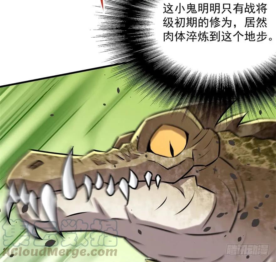 137混元始祖鳄110