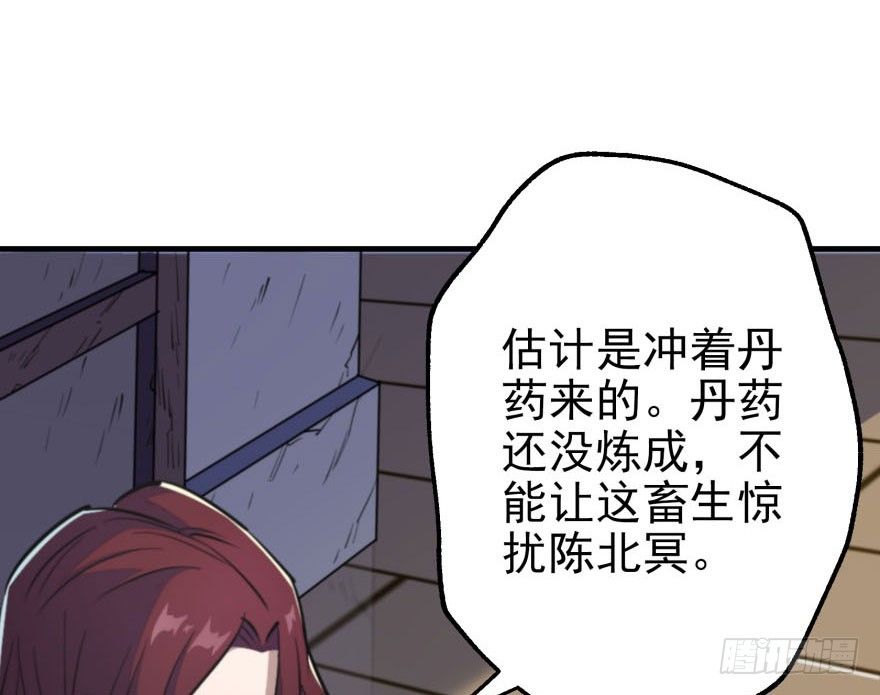 055猛犸野猪王11