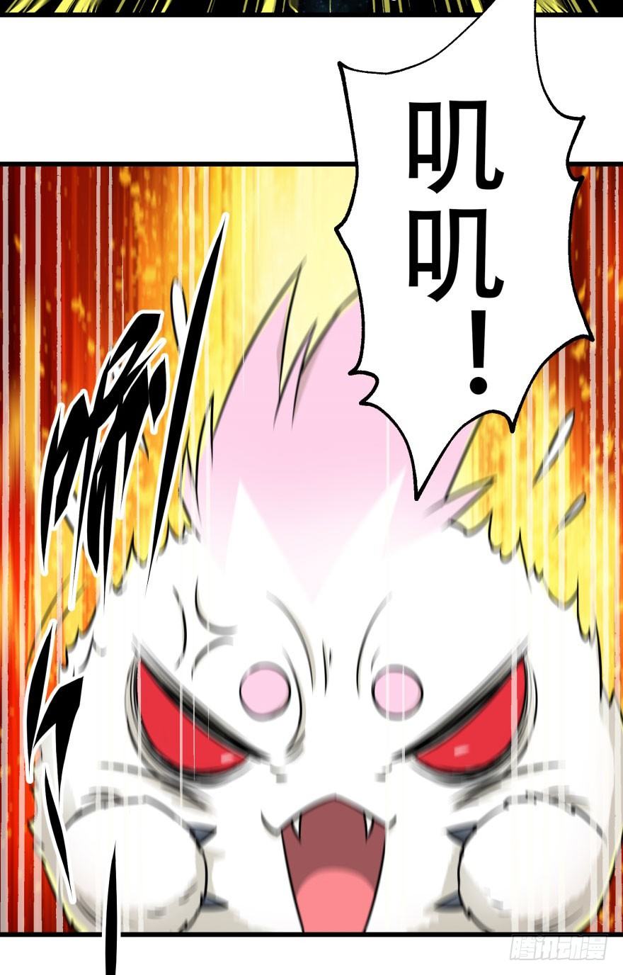 009小雪球VS闪电魔纹貂19