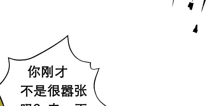 077雷纹石85
