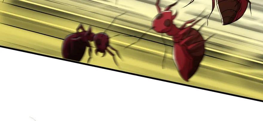 093一球战双王137